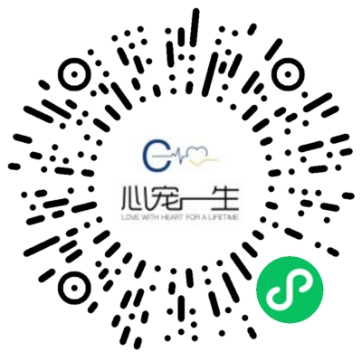 心宠一生