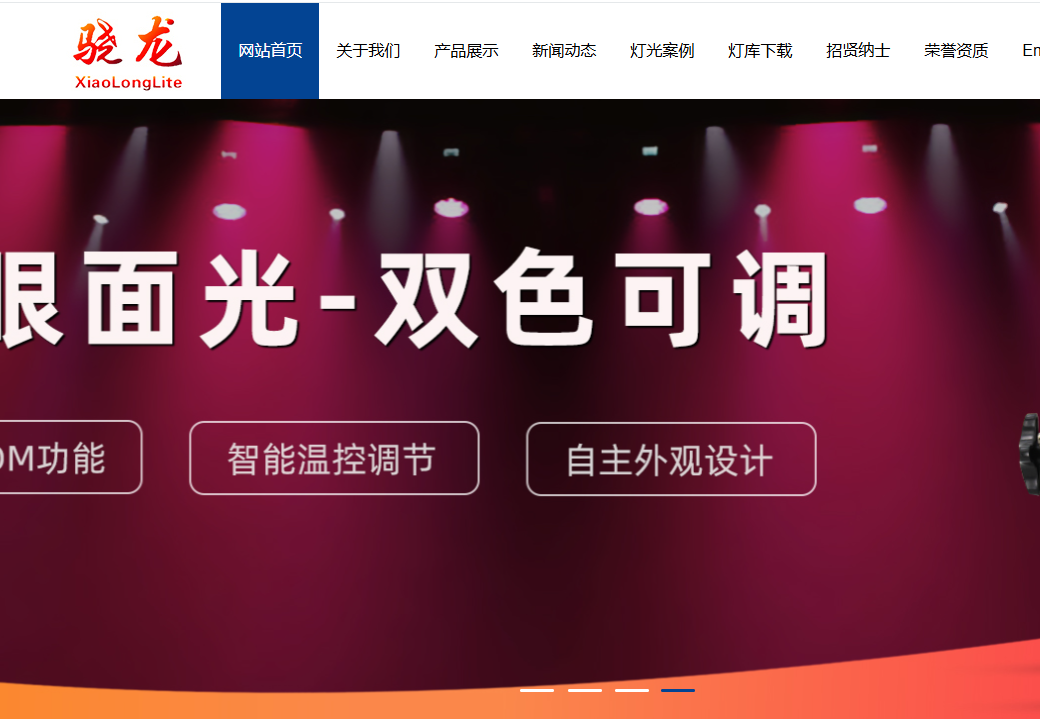 广州市骁龙光电有限公司